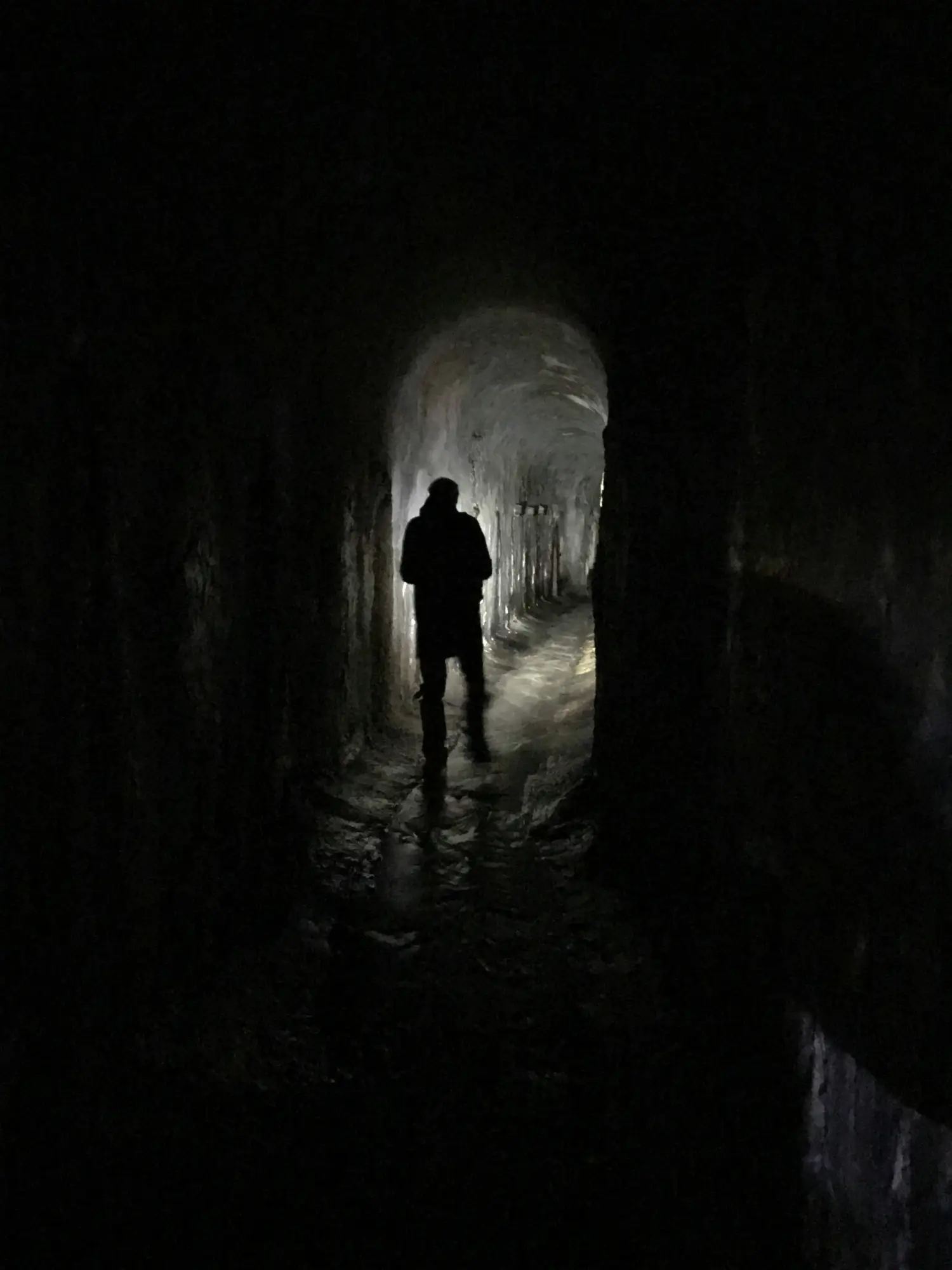 Pasaje del terror con ambiente terrorífico y actores caracterizados