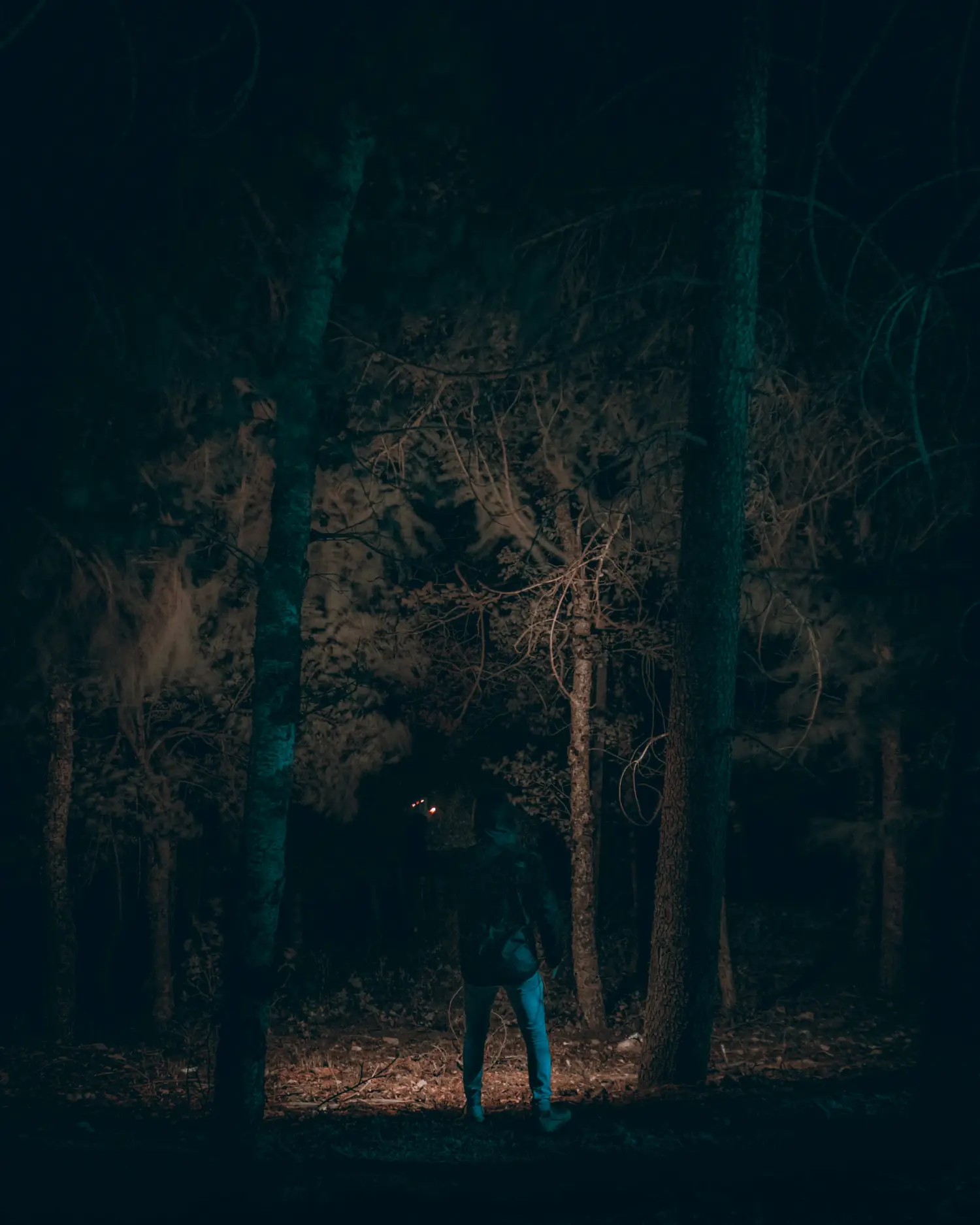 Terror Night con ambiente aterrador y misterioso